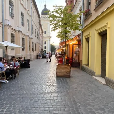 на вулиці лесі українки 19 *